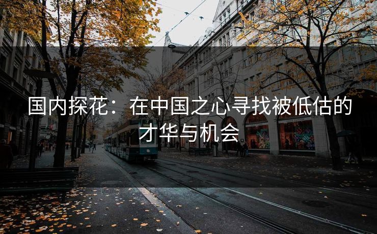 国内探花:在中国之心寻找被低估的才华与机会 国内探花:在中国之心寻找被低估的才华与机会